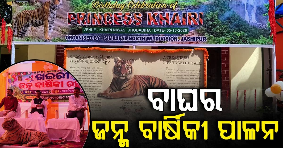 ମଣିଷ ପାଖରେ ଓ ମଣିଷ ସାଙ୍ଗରେ ବଢିଥିଲା ବାଘ ଖଇରୀ, ଆଜି ତାର ପାଳନ ହୋଇଛି ଜନ୍ମବାର୍ଷିକୀ