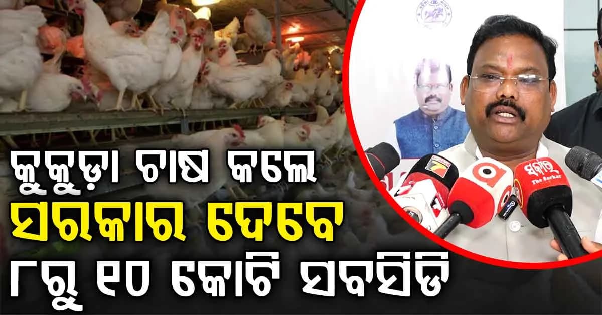 କୁକୁଡ଼ା ଚାଷ ପାଇଁ ୮ରୁ ୧୦ କୋଟି ପର୍ଯ୍ୟନ୍ତ ସବସିଡି ଦେବେ ସରକାର