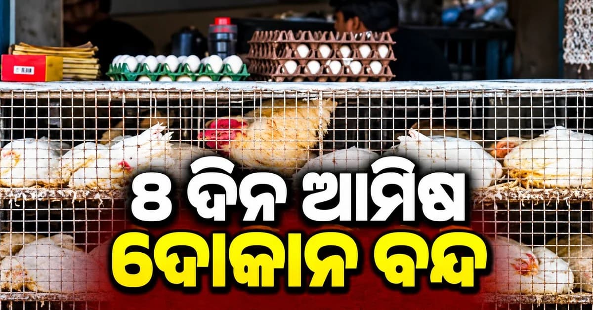 ଆକାଶରେ ଗର୍ଜିବ ଲଢ଼ୁଆ ବିମାନ ମାଂସ ମାଛ ବିକ୍ରି ଉପରେ କଟକଣା