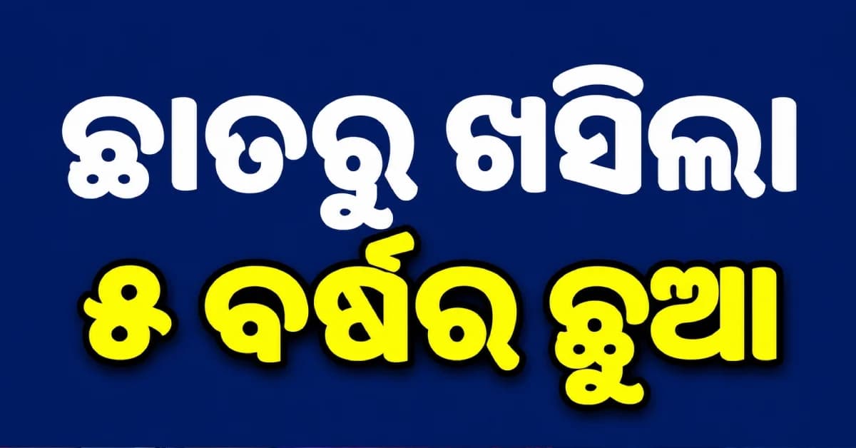 ଦ୍ୱିତୀୟ ମହଲାରୁ ଖସୁଥିଲା ୫ ବର୍ଷର ଶିଶୁ ହାତ ବଢ଼ାଇ ଧରିଲେ ଯୁବକ