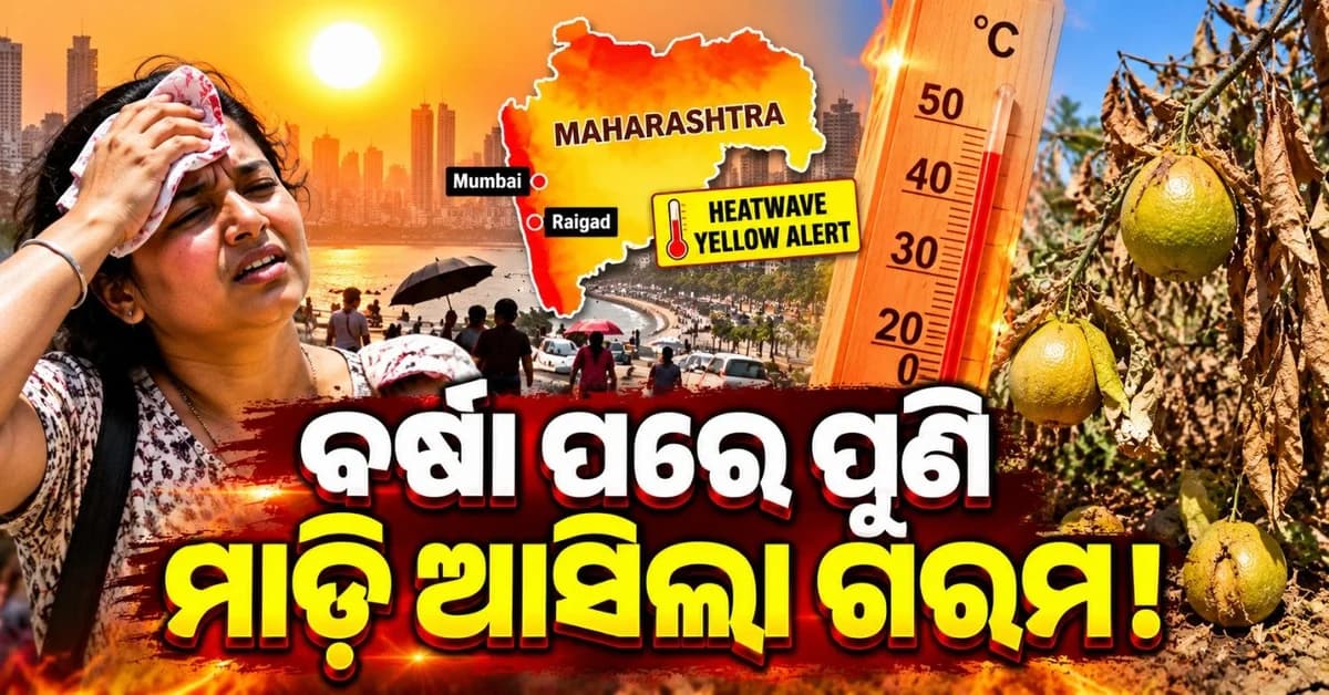 ମୌସୁମୀ ଋତୁ ପରେ ଅଚାନକ ମାଡ଼ି ଆସିଲା ପ୍ରବଳ ଗରମ; ଶୁଖିଗଲା ମୌସମ୍ବୀ ଫସଲ