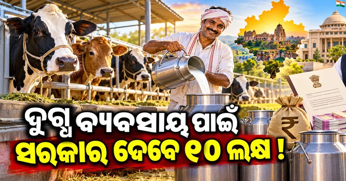 ଦୁଗ୍ଧ ବ୍ୟବସାୟ ପାଇଁ ବଡ଼ ସୁଯୋଗ! ଏଣିକି ସରକାର କରିବେ ୧୦ଲକ୍ଷ ସହାୟତା...