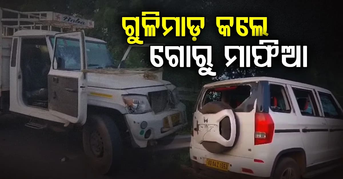 ଗୋରୁ ଗାଡ଼ିକୁ ଅଟକାଇବାରୁ ଭୋର୍ ଭୋର୍ରୁ ଗୁଳିମାଡ଼; ପୋଲିସ ଭଳି ପାଇଲଟିଂ କରୁଥିଲା ବୋଲେରୋ