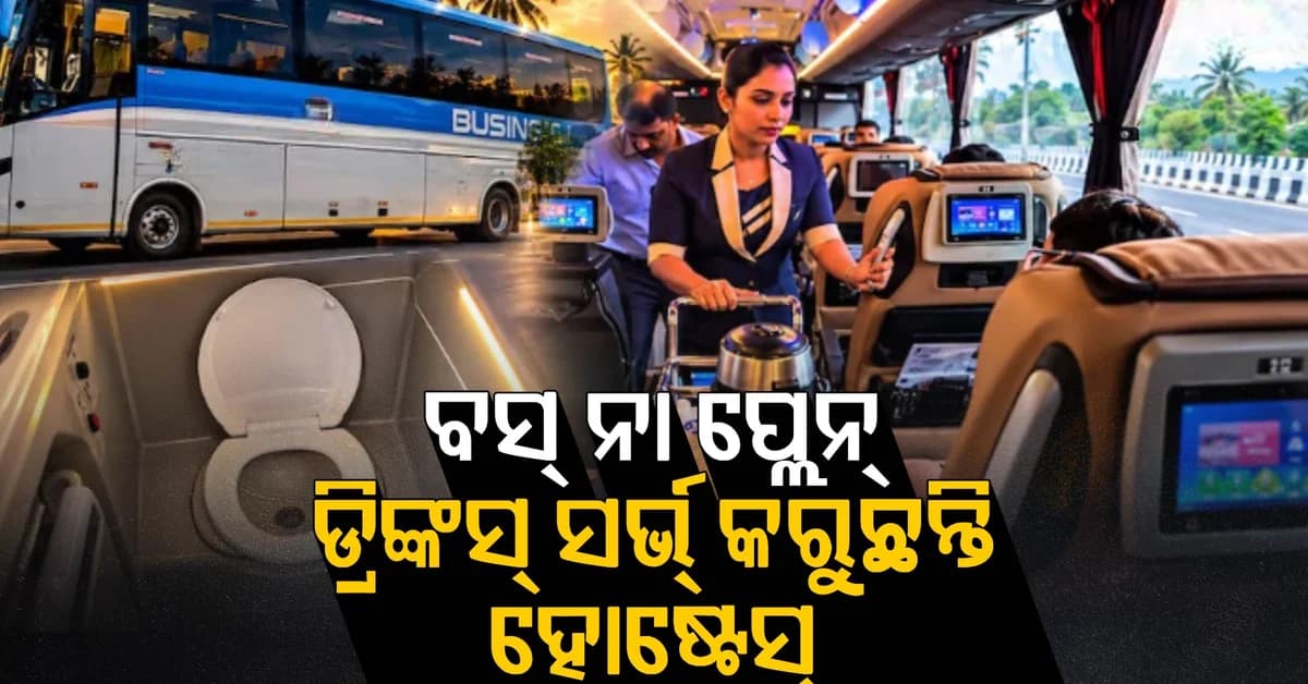ଭିତର ଦୃଶ୍ୟ ଦେଖି ଆଶ୍ଚର୍ଯ୍ୟ ହେବେ; ରାସ୍ତାରେ ଚାଲୁଥିବା ପ୍ଲେନ୍, ଟିକେଟ୍ ଦାମ କେତେ ?