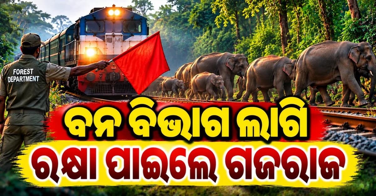 ଲାଲ କପଡ଼ା ଅଟକାଇଲା ଟ୍ରେନ; ରାସ୍ତା ପାର ହେବା ବେଳେ ବର୍ତ୍ତିଗଲେ ଗଜରାଜ