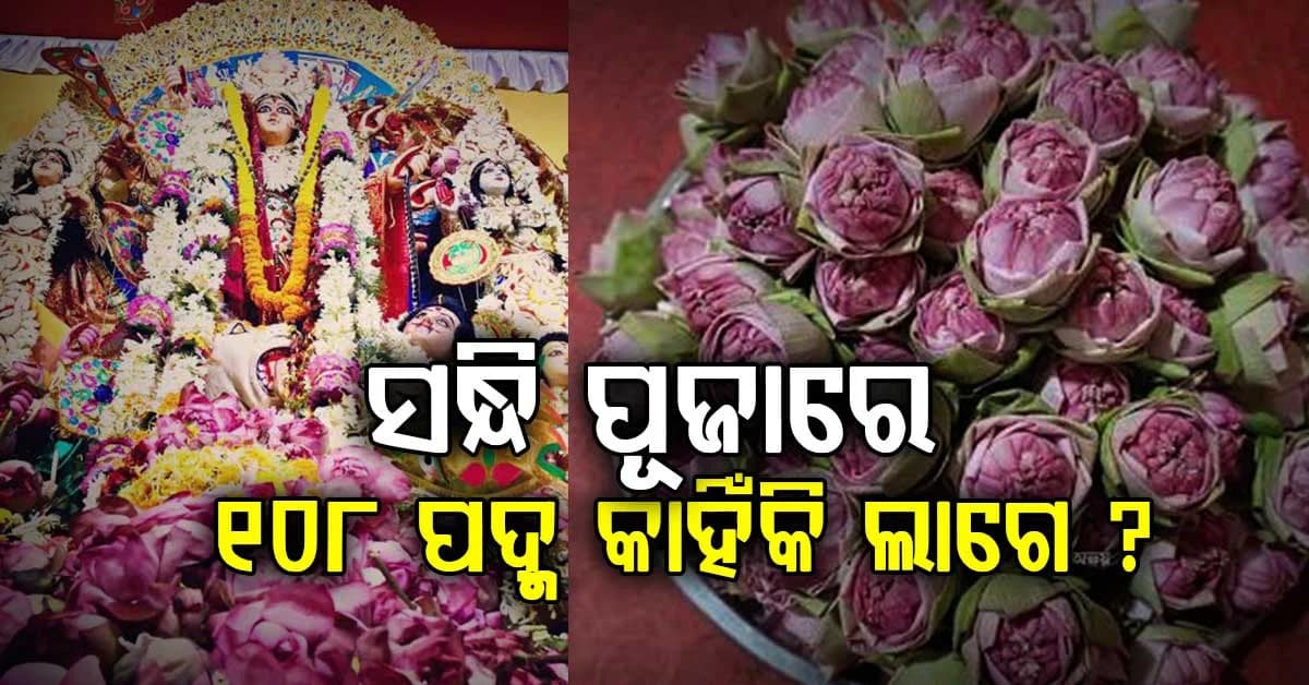 ସନ୍ଧି ପୂଜା ସମୟରେ କାହିଁକି ୧୦୮ଟି ପଦ୍ମ ଅର୍ପଣ କରାଯାଏ? ଜାଣନ୍ତୁ ବଡ଼ କାରଣ...