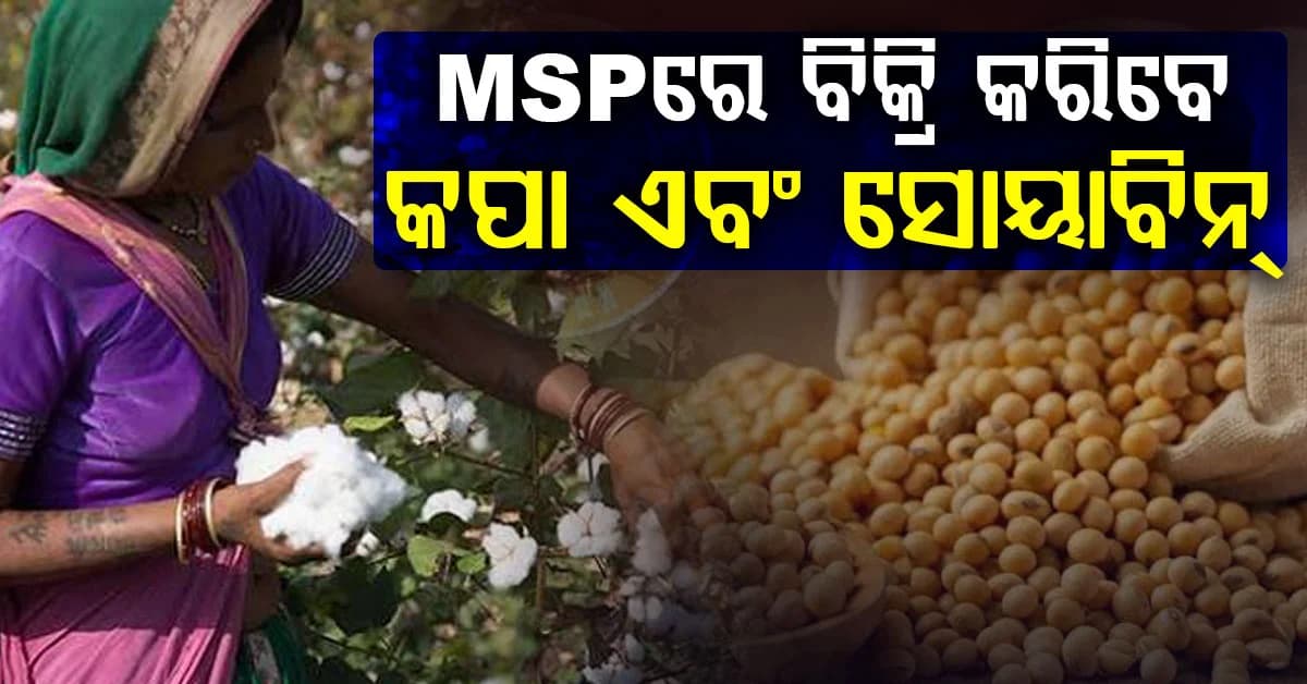 ଆସଲା ବଡ଼ ଖବର: ଏମଏସପିରେ କପା ଏବଂ ସୋୟାବିନ୍ କରିବେ ବିକ୍ରି, ଏହି ତାରିଖ ପୂର୍ବରୁ କରନ୍ତୁ ପଞ୍ଜୀକରଣ