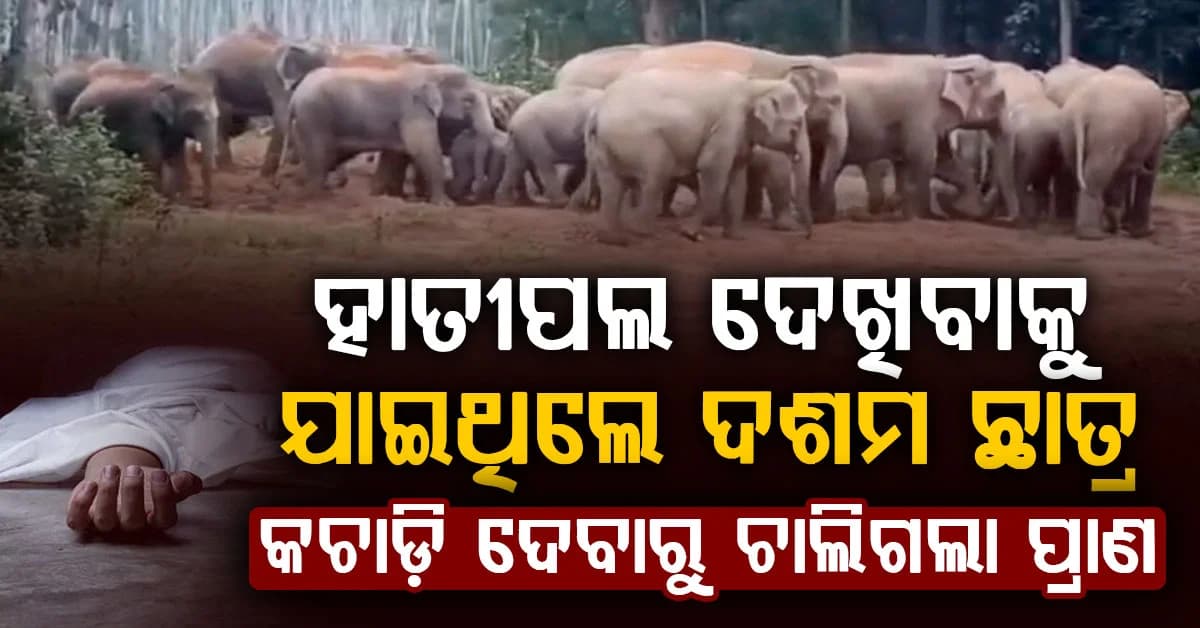 ମହଙ୍ଗା ପଡ଼ିଲା ଚେତାବନୀକୁ ବେଖାତିର୍; ହାତୀ ଆକ୍ରମଣରେ ଚାଲିଗଲା ଦଶମ ଛାତ୍ରଙ୍କ ଜୀବନ