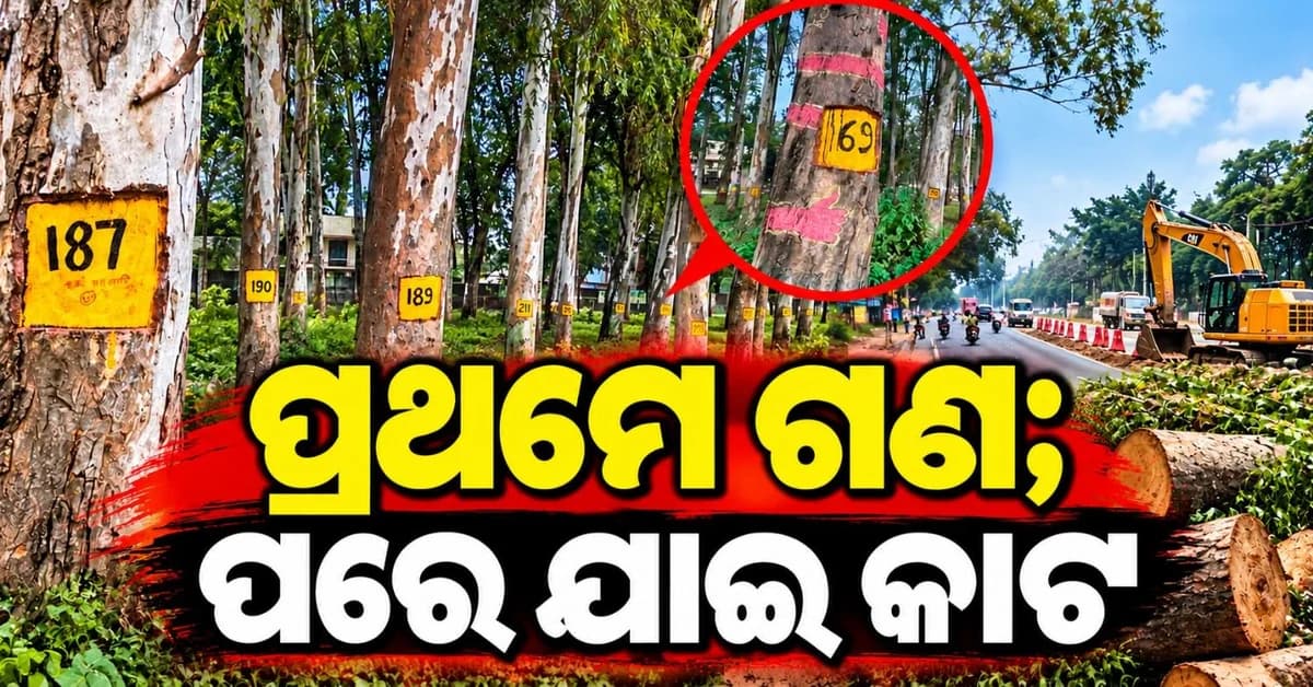 ୭୦୦୦ ଗଛକୁ ବଞ୍ଚାଇବା ପାଇଁ ଯୁବକଙ୍କ ଅନନ୍ୟ ଅଭିଯାନ; ସାମ୍ନାରେ ରଖିଲେ ଏହି ଦାବି