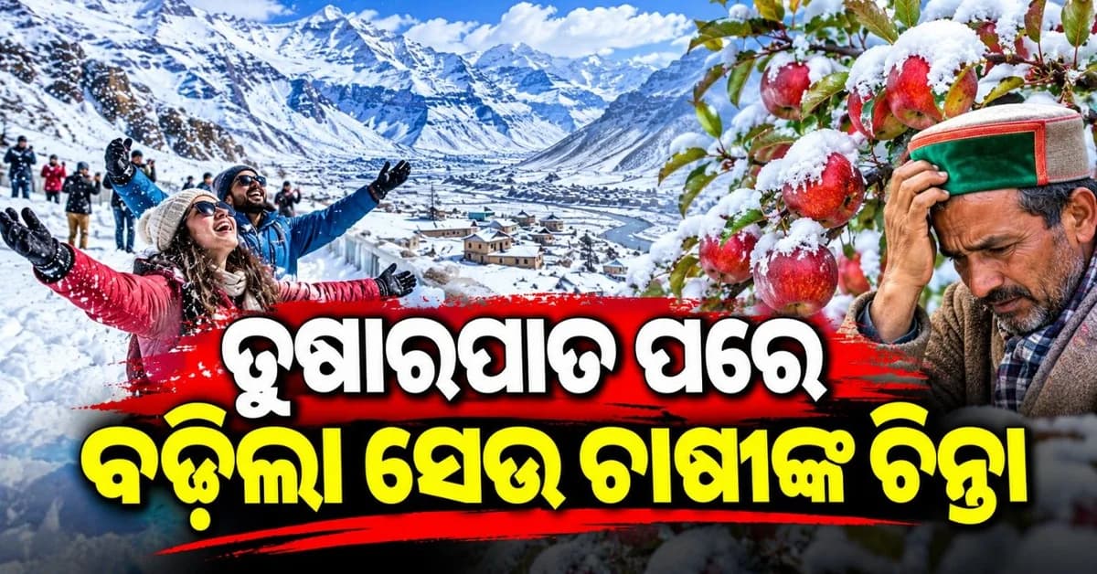 ତୁଷାରପାତ ଯୋଗୁଁ ବଦଳିଲା ପାଗ; ବରଫ ଚାଦରରେ ଢାଙ୍କି ହୋଇଗଲା ସମଗ୍ର ଘାଟି