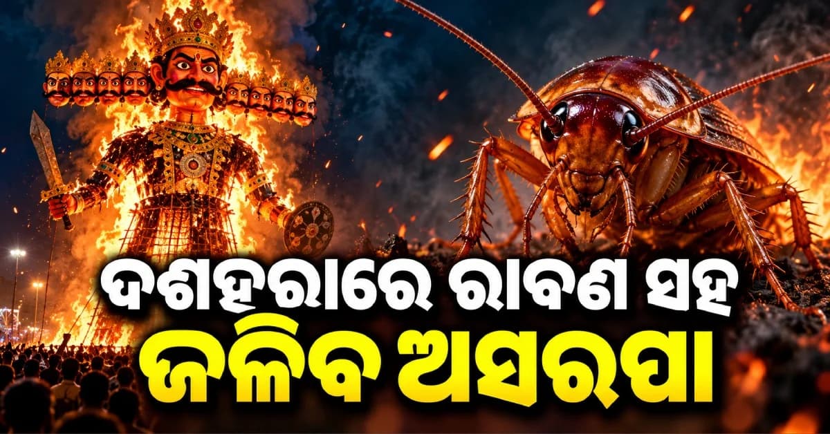ଦଶହରାରେ ରାବଣ ସହ ଜଳିବ ୩୦ ଫୁଟ୍ର ଅସରପା, ରାମଲୀଳା କମିଟିର ନିଷ୍ପତ୍ତିକୁ ନେଇ ଚର୍ଚ୍ଚା