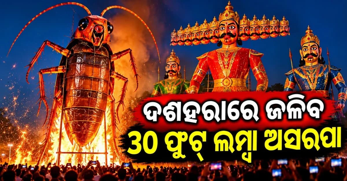 ଅସରପା ପ୍ରତିମା ପୋଡ଼ିବାକୁ ନେଇ ତେଜିଲା ବିବାଦ; ରାଜନୀତି ସହ ଜଡି଼ତ ଅଭିଯୋଗକୁ ଆୟୋଜକଙ୍କ ଅସ୍ୱୀକାର