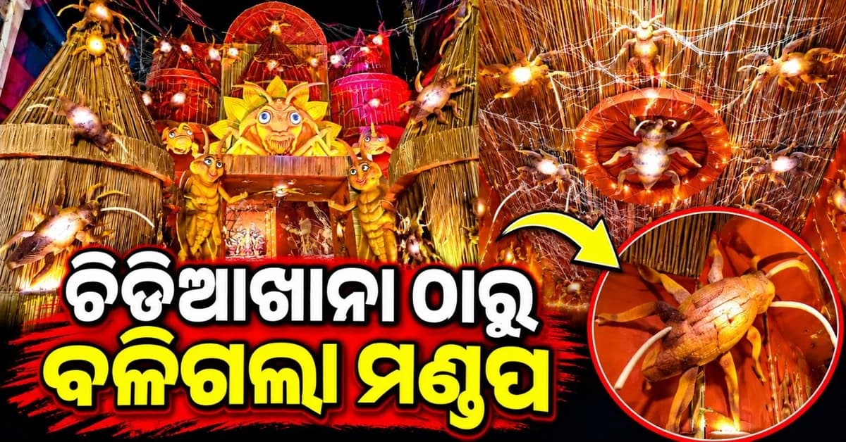 ଦଶହରା ବେଳେ ଚର୍ଚ୍ଚାରେ ଅସରପା-ବୁଢୀଆଣି ଜାଲ ଥିମ୍ ପେଣ୍ଡାଲ୍; ଦେଖିବା ପାଇଁ ଜମୁଛି ଲୋକଙ୍କ ଭିଡ଼