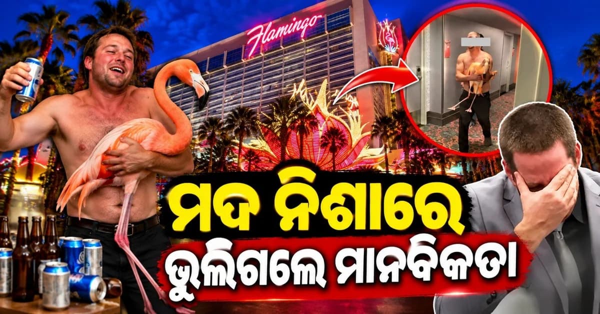 କାନାଡ଼ାରୁ ଆମେରିକା ଆସିଲେ ପର୍ଯ୍ୟଟକ; ପିଇଗଲେ ୪୦ ବିୟର, କରି ବସିଲେ ଏଭଳି କାମ