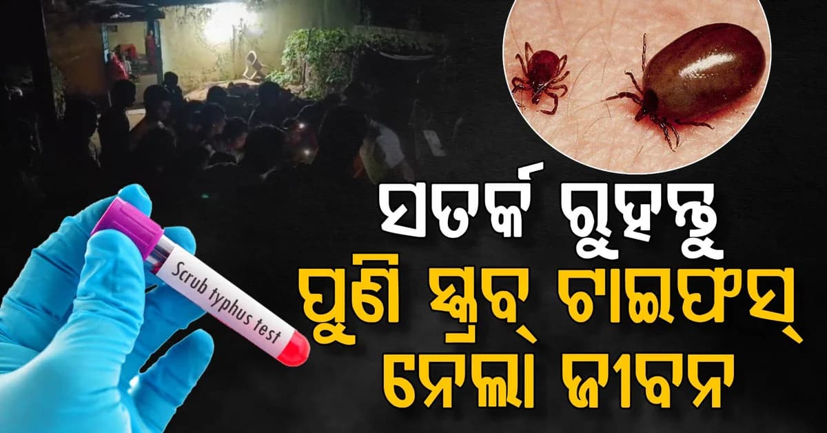 ଅନୁଗୋଳରେ ସ୍କ୍ରବ୍ ଟାଇଫସ୍ ନେଲା ଜୀବନ; କେମିତି ଚିହ୍ନିବେ ଲକ୍ଷଣ