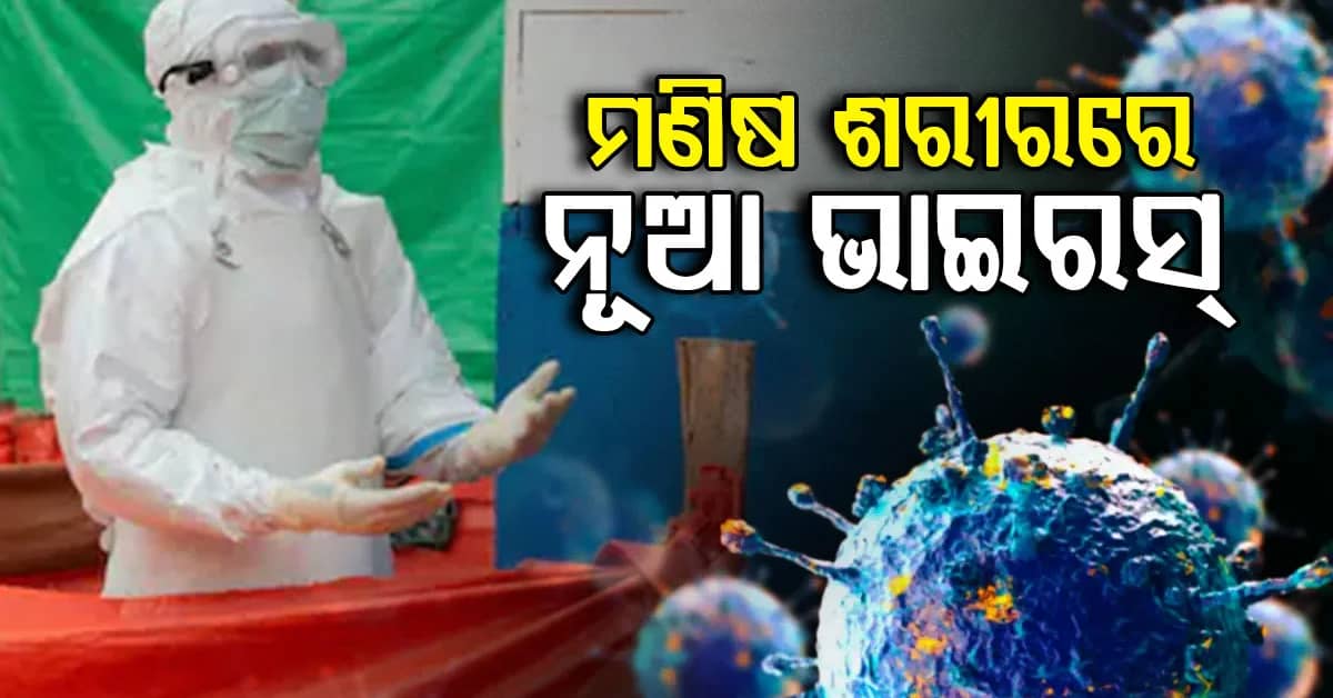 ପ୍ରଥମ ଥର ପାଇଁ ଜଣେ ମଣିଷଙ୍କ ଶରୀରରେ ଶାମୋଣ୍ଡା ଭାଇରସ୍ ସଂକ୍ରମଣ ଚିହ୍ନଟ ହୋଇଛି