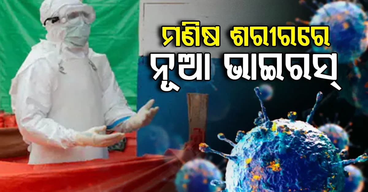 ପ୍ରଥମ ଥର ପାଇଁ ଜଣେ ମଣିଷଙ୍କ ଶରୀରରେ ଶାମୋଣ୍ଡା ଭାଇରସ୍ ସଂକ୍ରମଣ ଚିହ୍ନଟ ହୋଇଛି