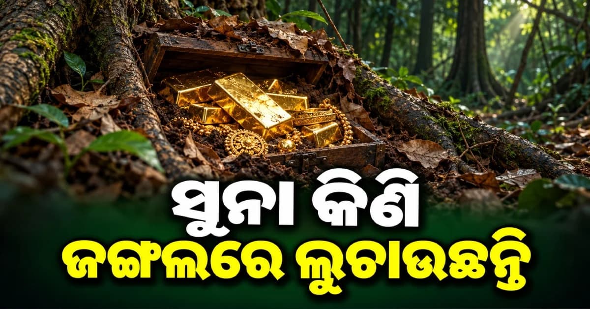 ସୁନା କିଣି ଜଙ୍ଗଲରେ ରଖନ୍ତୁ, ମିଳିବ ଅଧିକ ଲାଭ ! ଏମିତି ଲୋଭ ଦେଖାଇ ଲୁଟୁଛନ୍ତି ଠକ