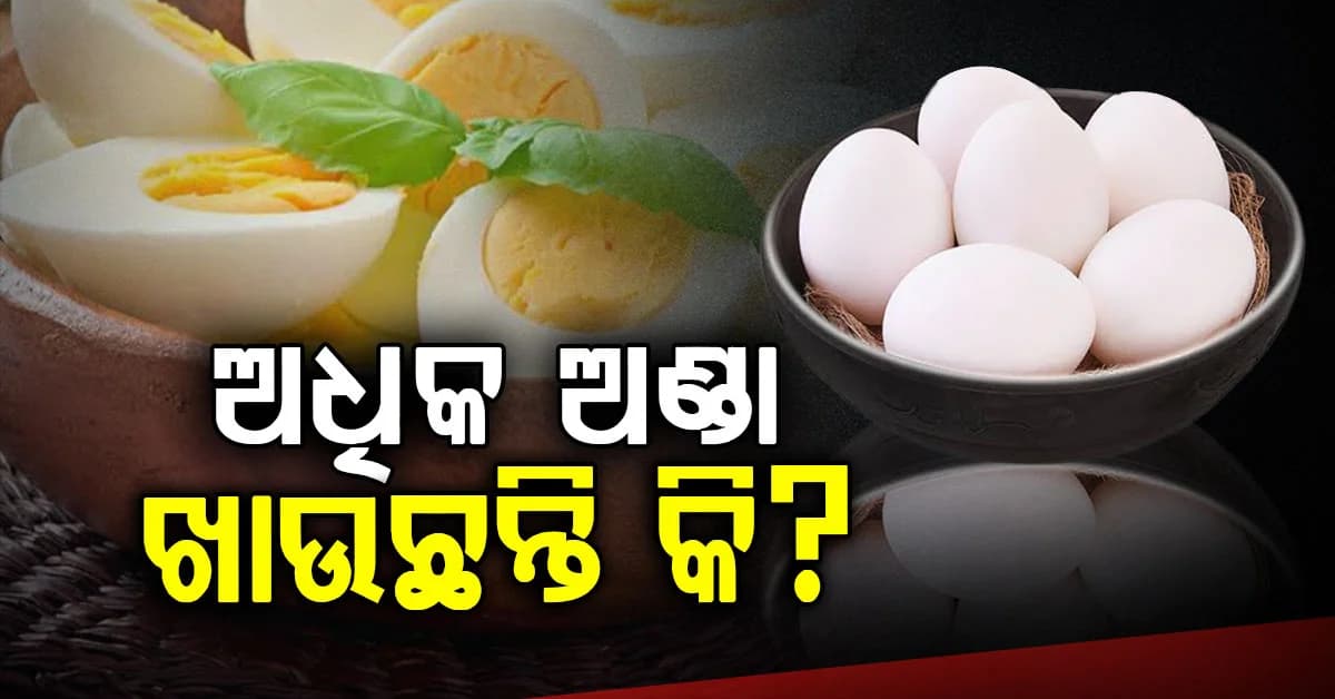 ଅଧିକ ଅଣ୍ଡା ଖାଉଛନ୍ତି କି? ସ୍ୱାସ୍ଥ୍ୟ ଉପରେ ପଡ଼ିପାରେ ଏହି ପ୍ରଭାବ, ଜାଣନ୍ତୁ କେତେ ଅଣ୍ଡା ଖାଇବା ଉଚିତ
