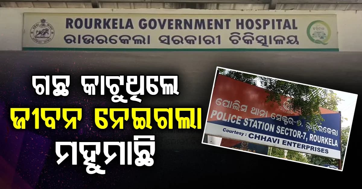 ମହଙ୍ଗା ପଡ଼ିଲା ଗଛ କାଟିବା; ମହୁମାଛି ଆକ୍ରମଣରେ ଚାଲିଗଲା ଜୀବନ