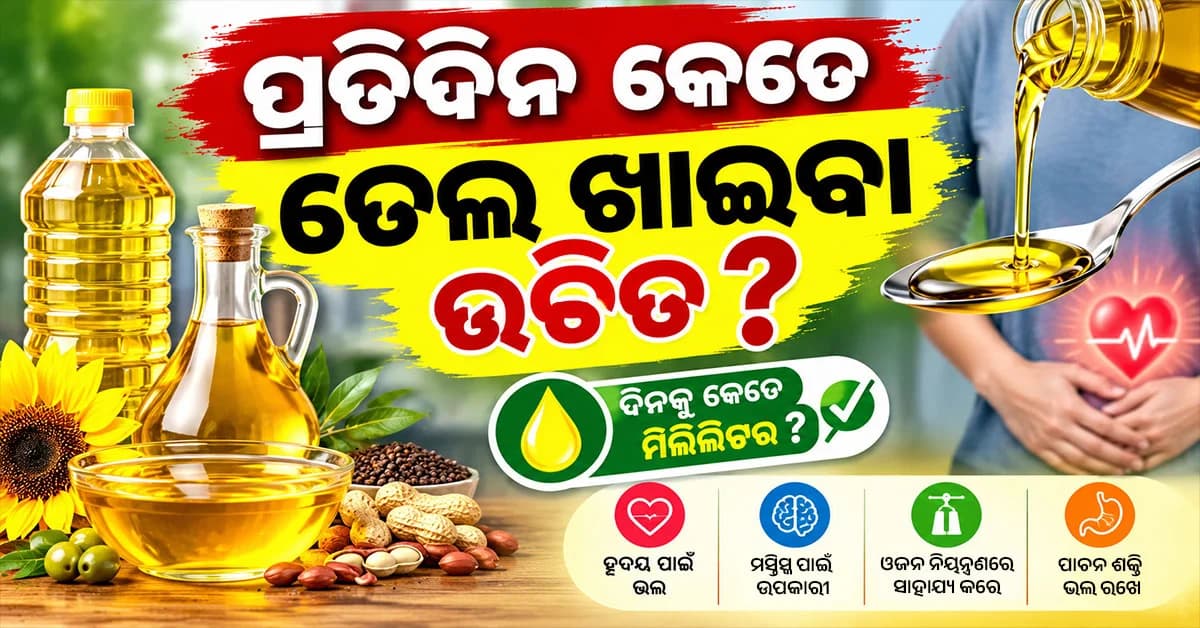 ପ୍ରତିଦିନ କେତେ ତେଲ ଖାଇବା ଉଚିତ? ହୃଦୟକୁ ସୁସ୍ଥ ରଖିବା ପାଇଁ ଜାଣନ୍ତୁ କେଉଁ ତେଲ ଭଲ