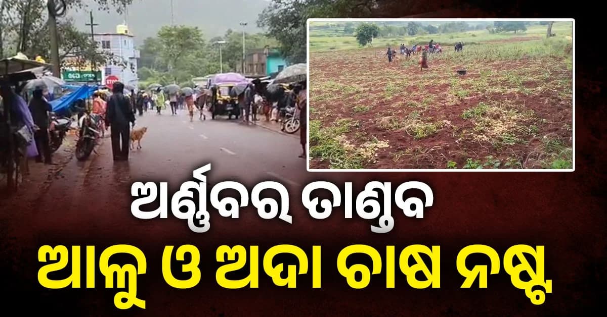 ବାତ୍ୟା ଅର୍ଣ୍ଣବର ତାଣ୍ଡବ: ବ୍ୟାପକ କ୍ଷୟକ୍ଷତି, ଘର ଉପରେ ଉପୁଡ଼ି ପଡ଼ିଲା ବିରାଟ ତେନ୍ତୁଳି ଗଛ