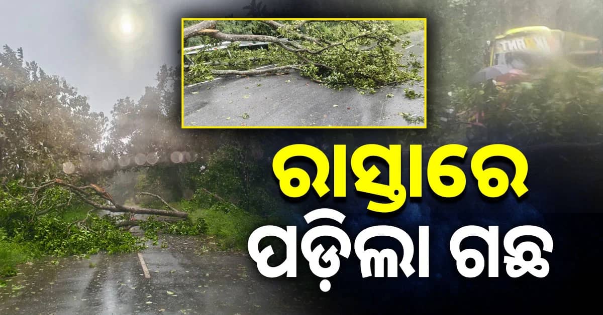 ଦକ୍ଷିଣ ଓଡ଼ିଶାରେ ପ୍ରବଳ ବର୍ଷା ଓ ପବନ, ଗଛ ଭାଙ୍ଗି ରାସ୍ତା ଅବରୋଧ