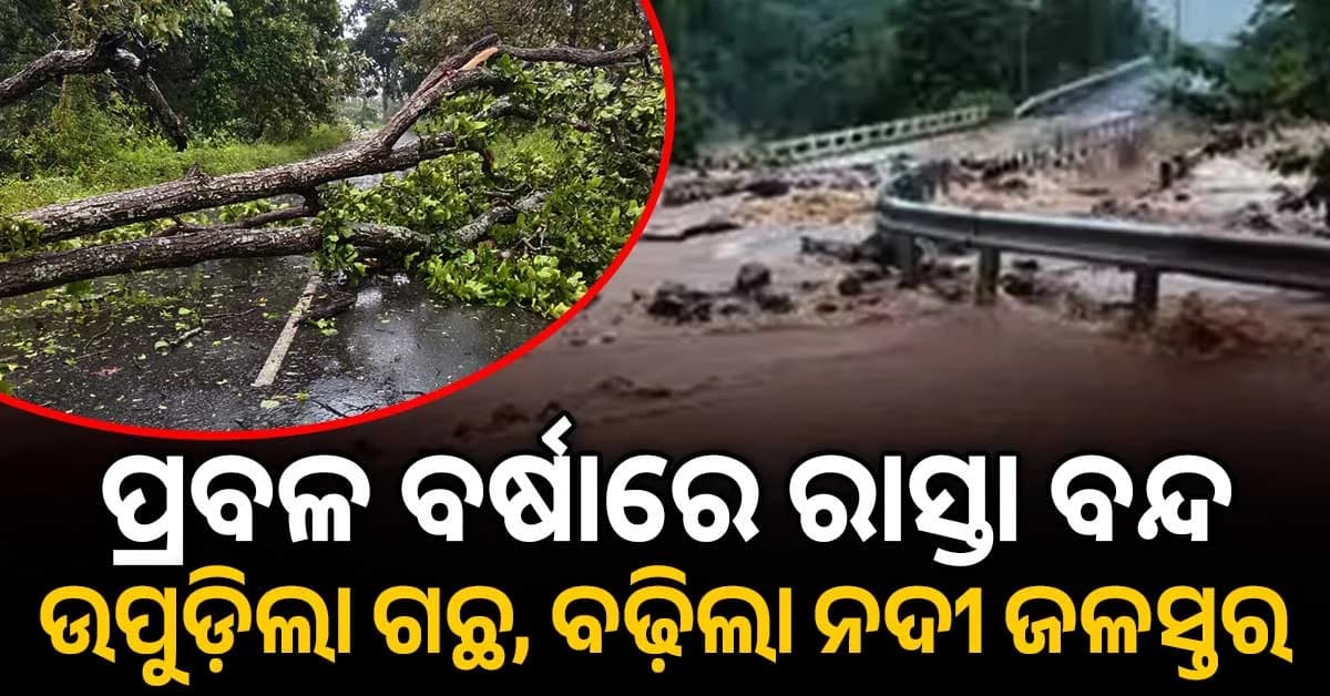 ଦକ୍ଷିଣ ଓଡ଼ିଶାରେ ବାତ୍ୟା ଅର୍ଣ୍ଣବର ତାଣ୍ଡବ…ପ୍ରବଳ ବର୍ଷା, ଭାଙ୍ଗୁଛି ଗଛ, ବଢ଼ୁଛି ନଦୀର ଜଳସ୍ତର, ଅନେକ ସ୍ଥାନରେ ଯୋଗାଯୋଗ ବିଚ୍ଛିନ୍ନ