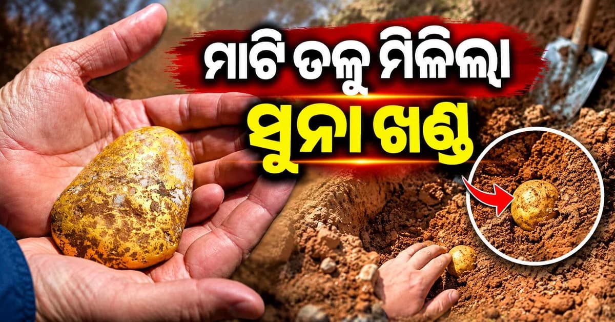 ମାଟି ତଳୁ ମିଳିଲା ସୁନା ଖଣ୍ଡ... ରାତାରାତି କୋଟିପତି, ମୂଲ୍ୟ ଜାଣିଲେ ଉଡ଼ିଯିବ ହୋସ୍