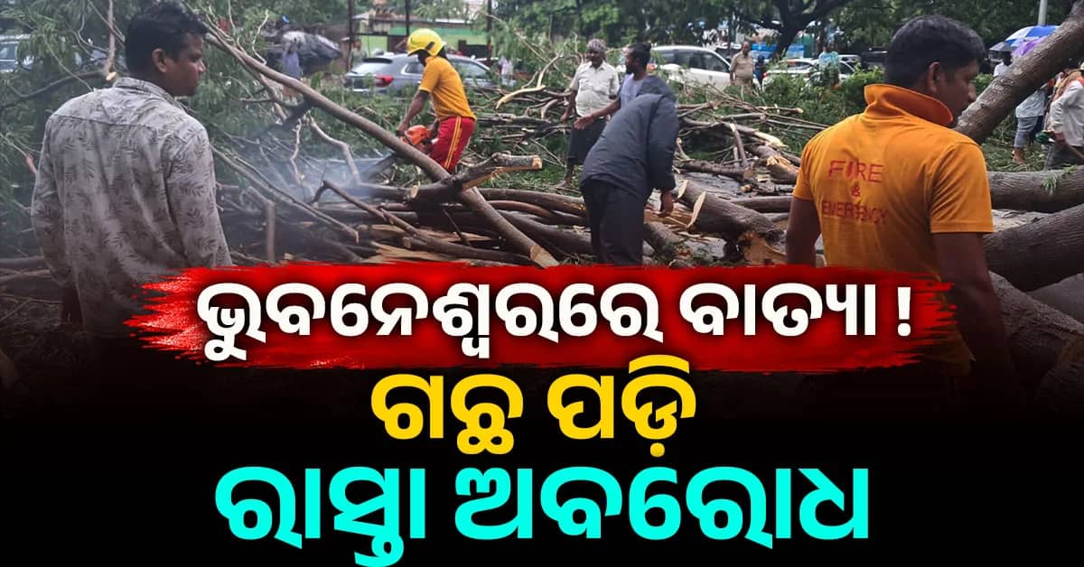 ଭୁବନେଶ୍ଵର ବର୍ଷା ସହ ଜୋର୍ରେ ପବନ; ଗଛ ପଡ଼ି ପଟିଆ-ନନ୍ଦନକାନନ ରାସ୍ତା ବନ୍ଦ
