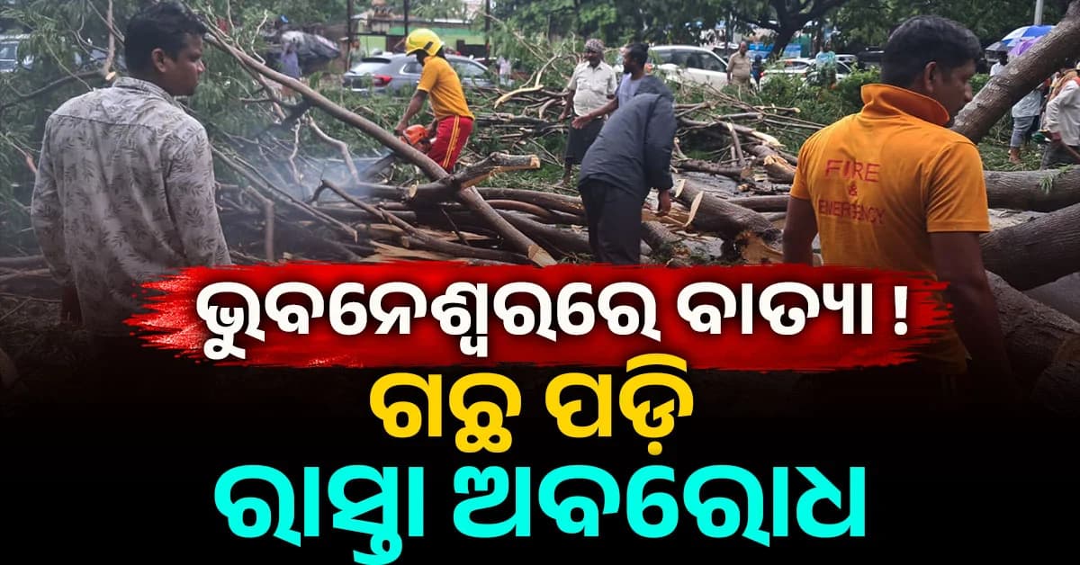 ଭୁବନେଶ୍ଵର ବର୍ଷା ସହ ଜୋର୍ରେ ପବନ; ଗଛ ପଡ଼ି ପଟିଆ-ନନ୍ଦନକାନନ ରାସ୍ତା ବନ୍ଦ