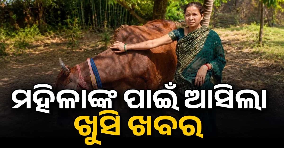 ବଦଳିବ ଏହି ରାଜ୍ୟର ମହିଳାଙ୍କ ଭାଗ୍ୟ, ସରକାର ଦେବେ ଦୁଧିଆଳି ଗାଇ