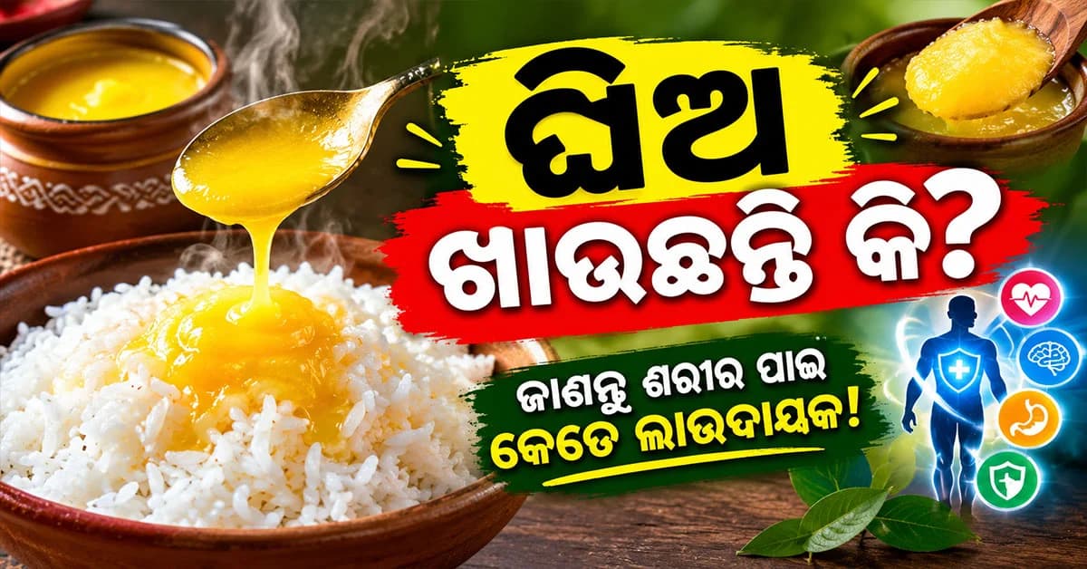 ଗରମ ଭାତରେ ଘିଅ ମିଶାଇ ଖାଉଛନ୍ତି କି? ଜାଣନ୍ତୁ ଶରୀର ପାଇଁ ଏହା ଲାଭଦାୟକ ନା କ୍ଷତିକାରକ?