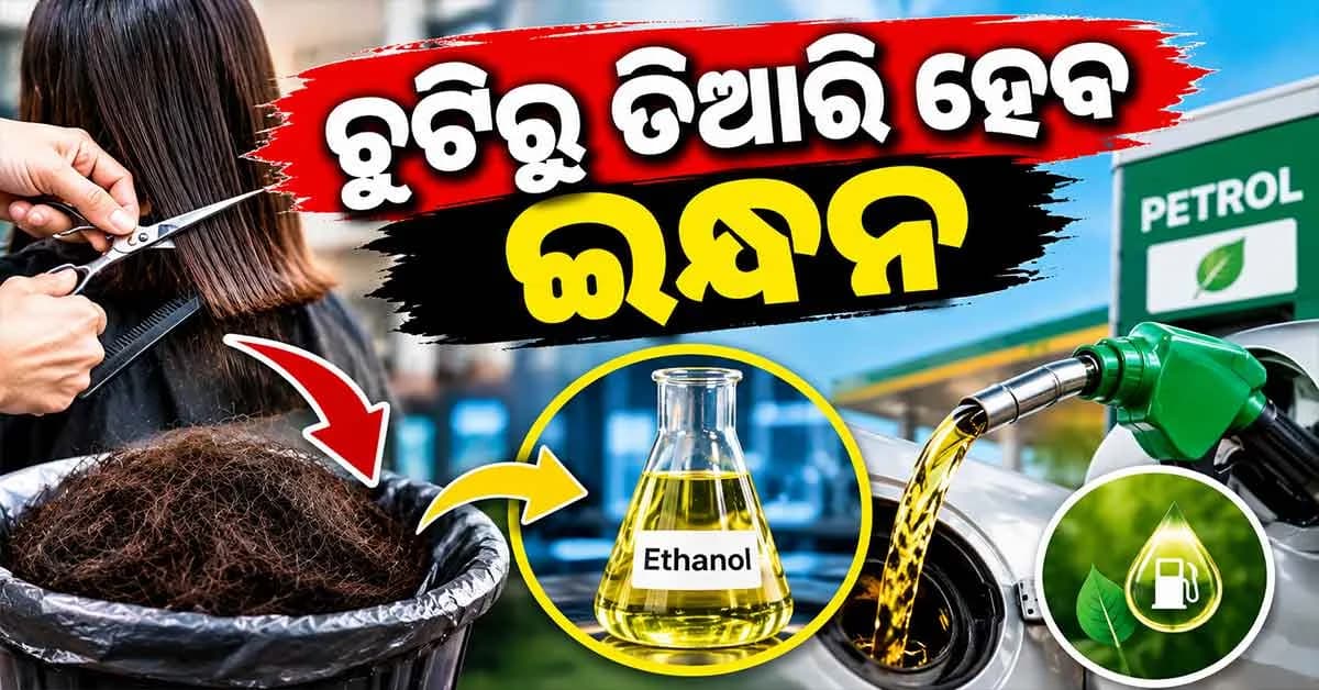 ଚୁଟିରୁ ତିଆରି ହେବ ଇଥାନଲ୍ ! ଟେକ୍ନୋଫେଷ୍ଟ ଗ୍ଲୋବାଲର ବଡ଼ ଦାବି