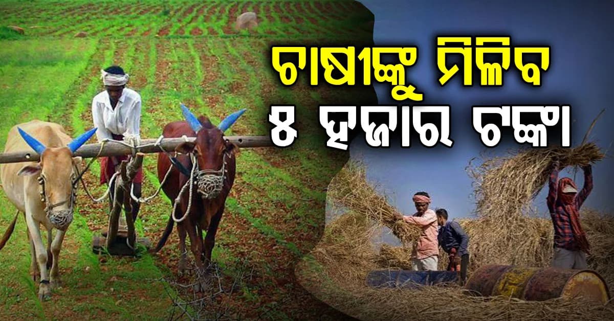 ଚାଷୀଙ୍କ ପାଇଁ ଆସିଲା ବଡ଼ ଖୁସି ଖବର, ମିଳିବ ୫ ହଜାର ଟଙ୍କା