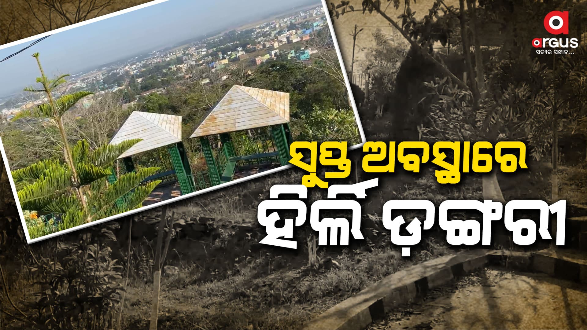 ସୁପ୍ତ ଅବସ୍ଥାରେ ଏକମାତ୍ର ଇକୋ ଟୁରିଜିମ ପାର୍କ ହିର୍ଲି ଡ଼ଙ୍ଗରୀ