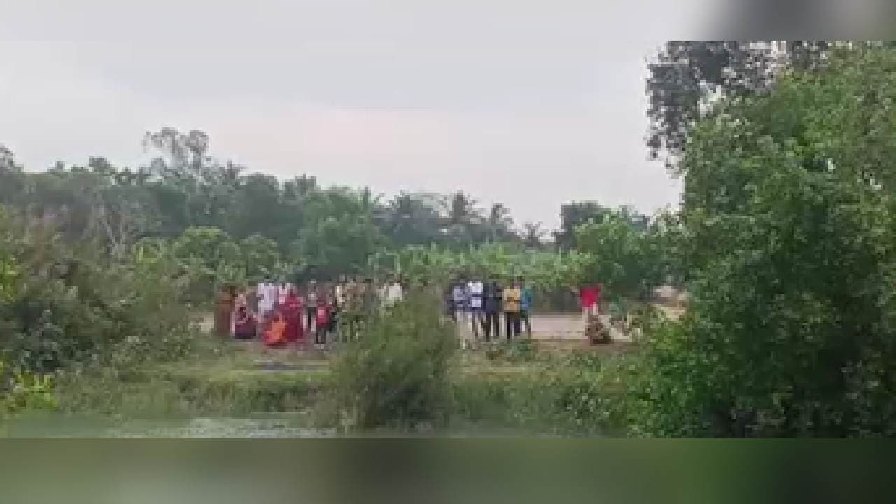 Crocodile Drags Man Into Water In Kendrapara; Yet To Be Traced