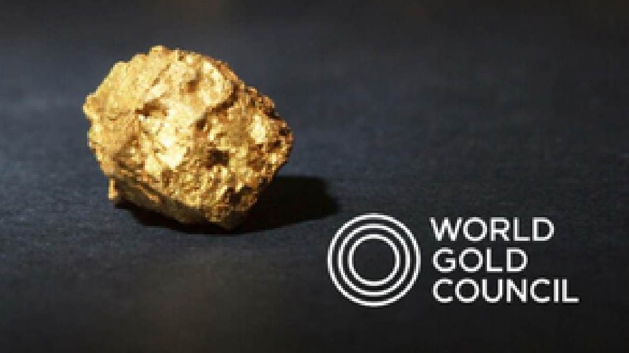'Diamond to Gold': Sachin Jain To Be World Gold Council's India Head