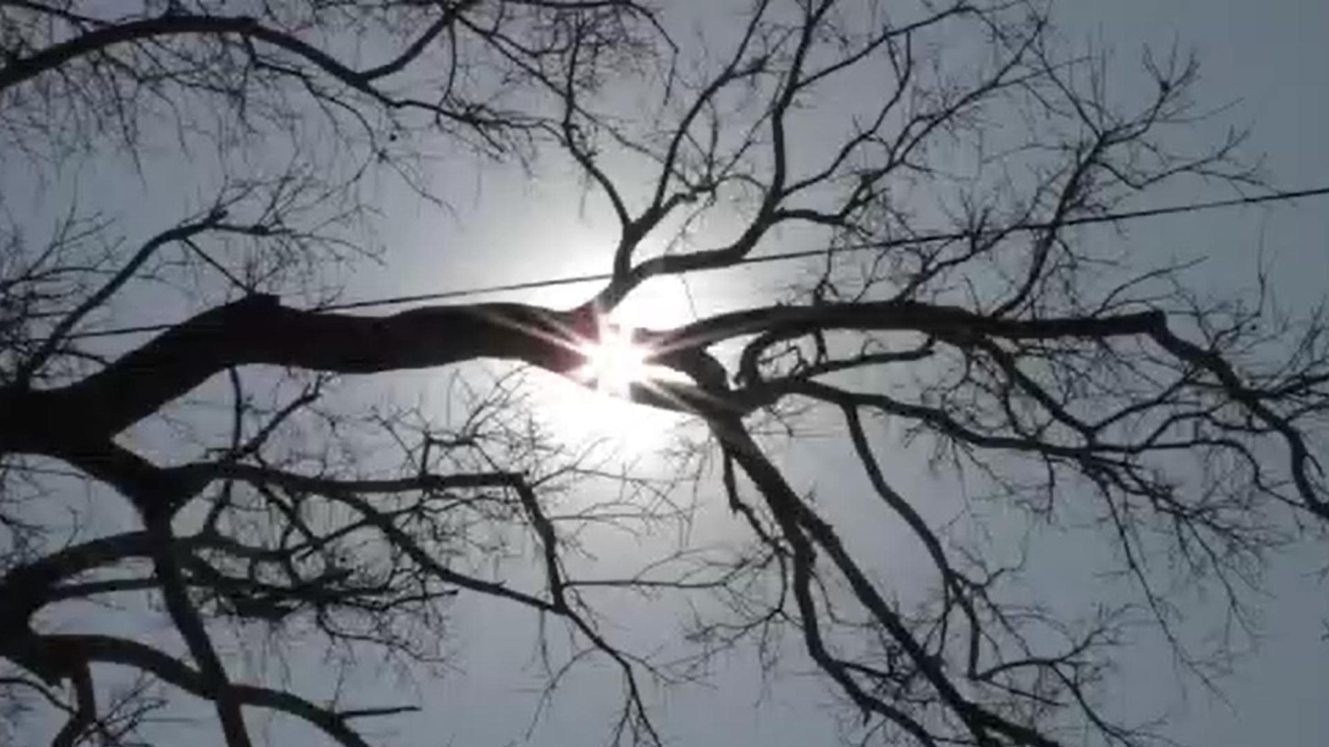 Odisha: Rise In Temperature Gives a Feel of Summer-Like Weather In February
