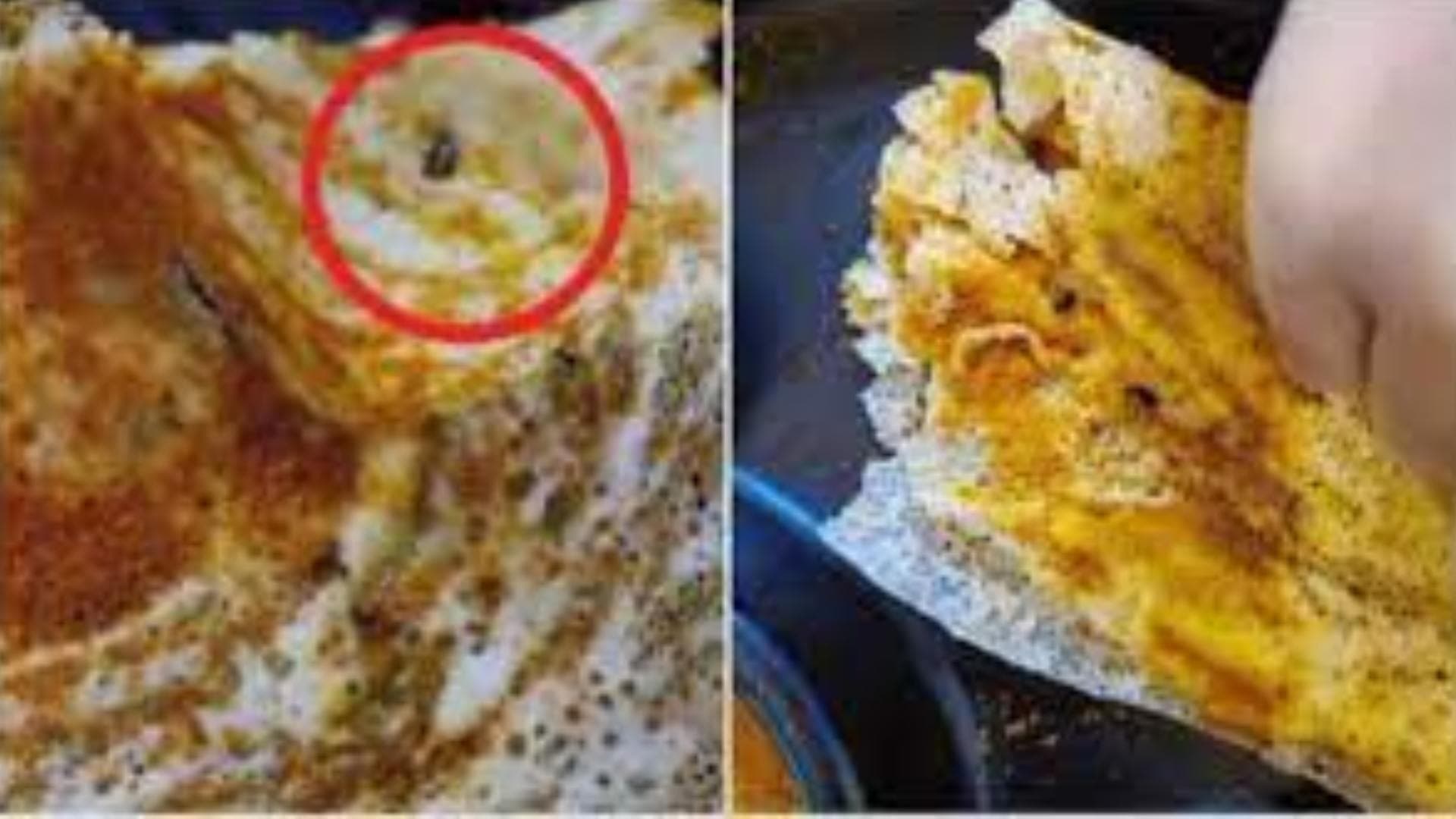 '8 Cockroaches In Dosa': Woman Shares Video Of Food Served At A Cafe In Delhi