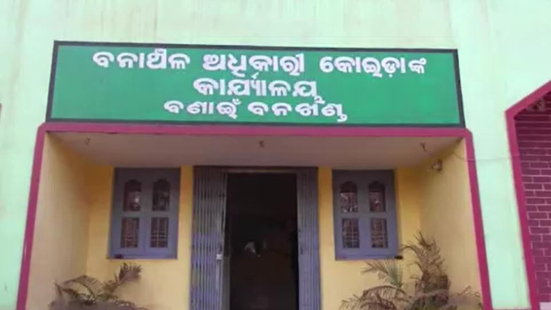 Wild Elephant Tramples Woman To Death In Odisha's Sundargarh