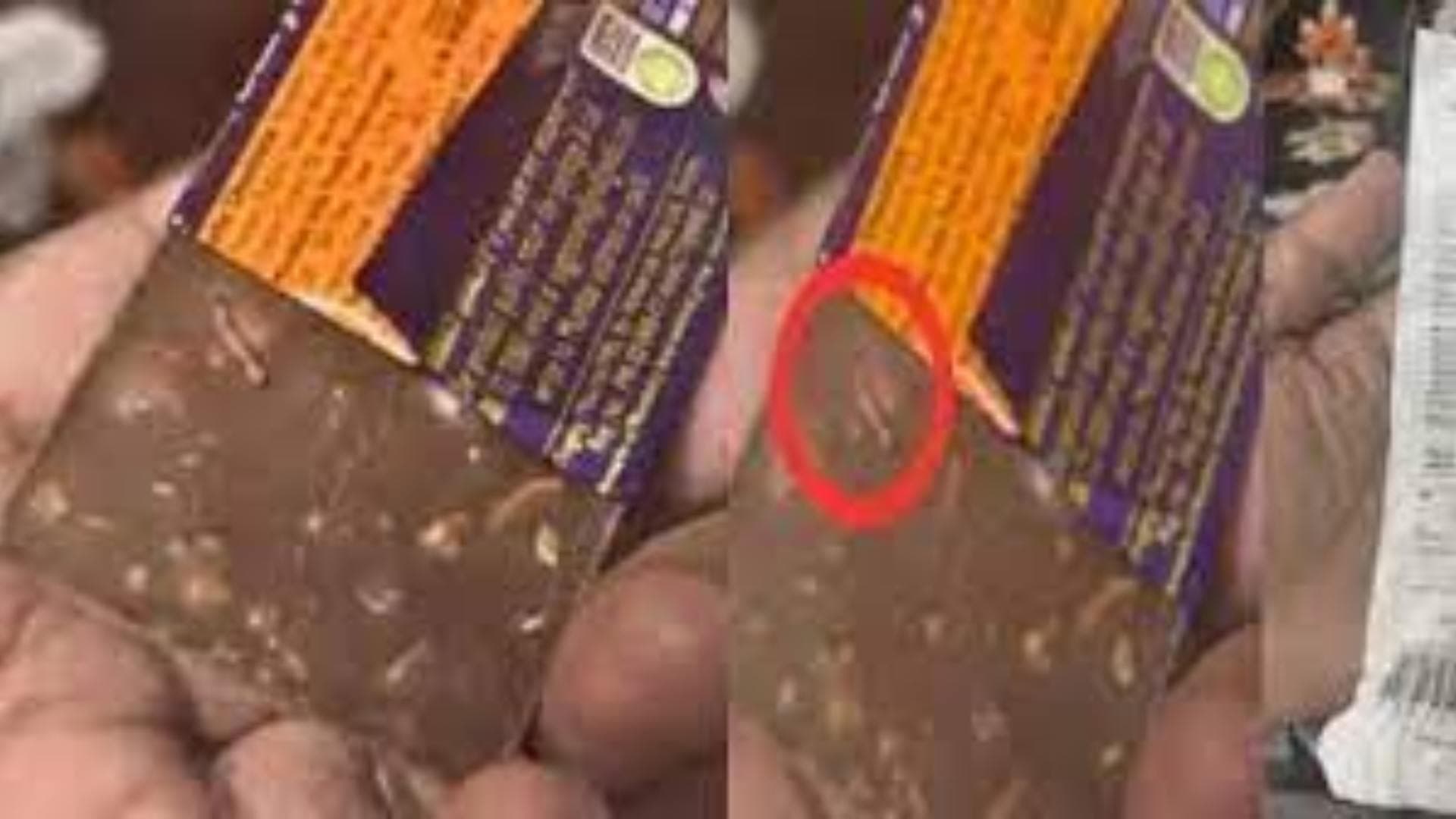 Man Finds Worm In Dairy Milk Chocolate, Cadbury Responds