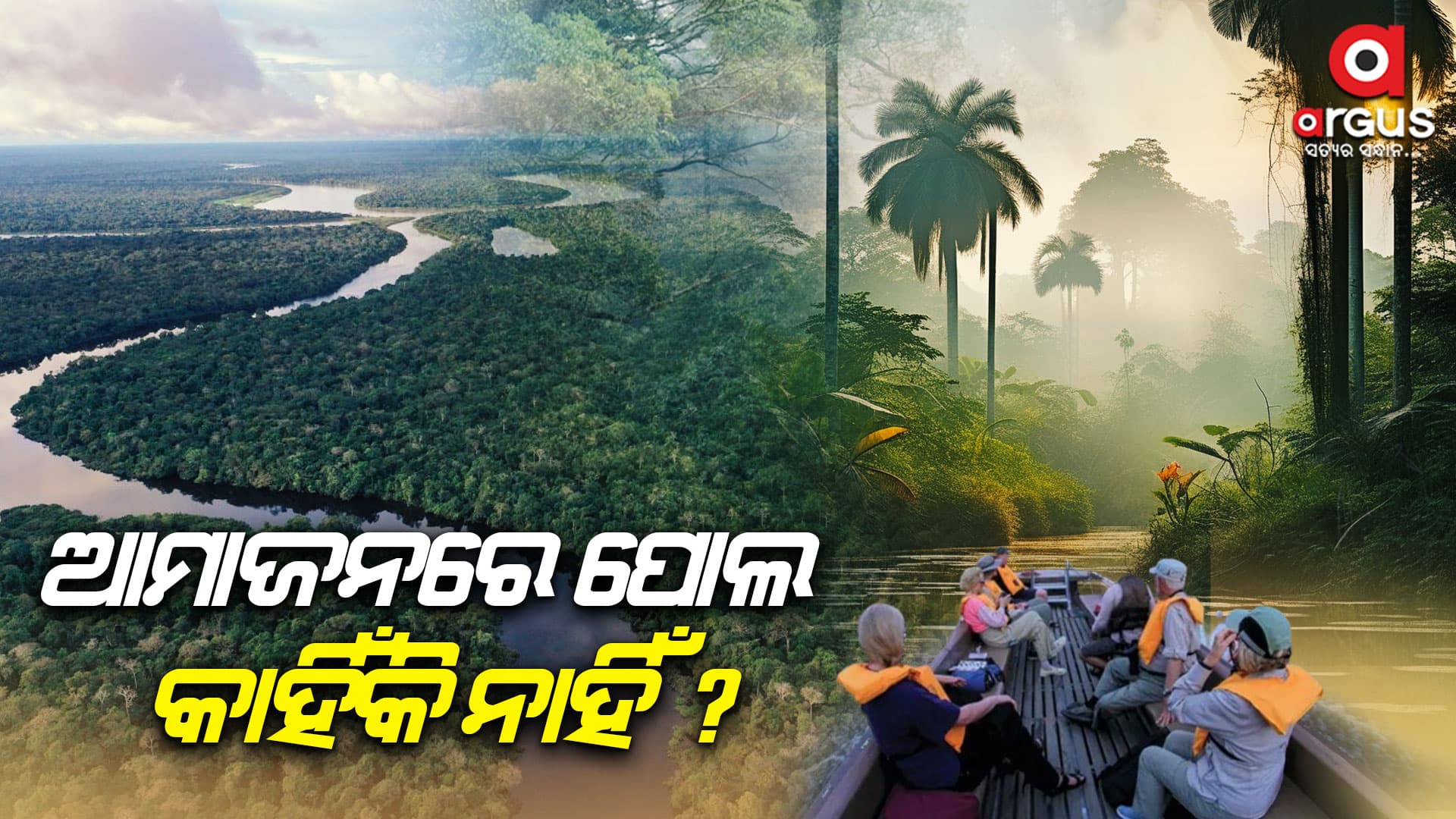 ଆମାଜନ ନଦୀରେ କାହିଁକି ନାହିଁ ପୋଲ ?