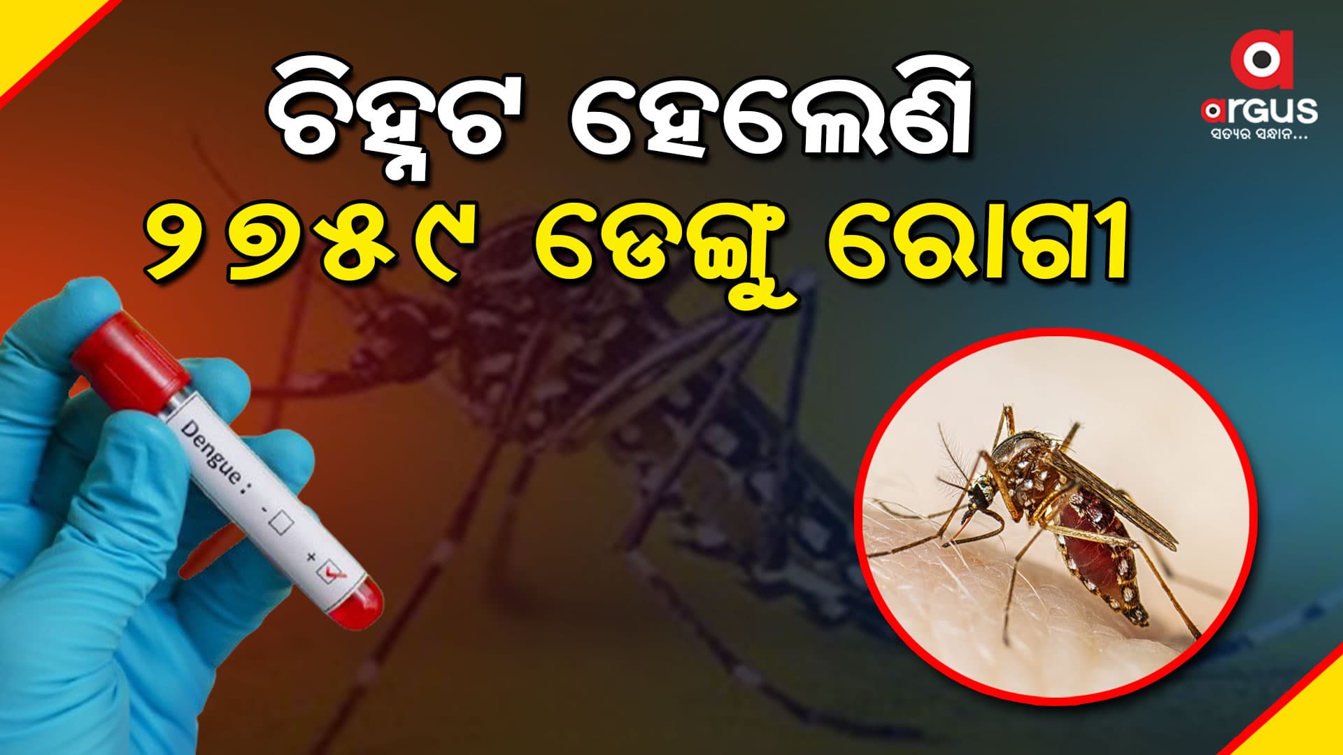 ବର୍ତ୍ତମାନ ସୁଦ୍ଧା ରାଜ୍ୟରେ ସରିଛି ୭୦ ହଜାର ଲୋକଙ୍କ ଡେଙ୍ଗୁ ପରୀକ୍ଷା