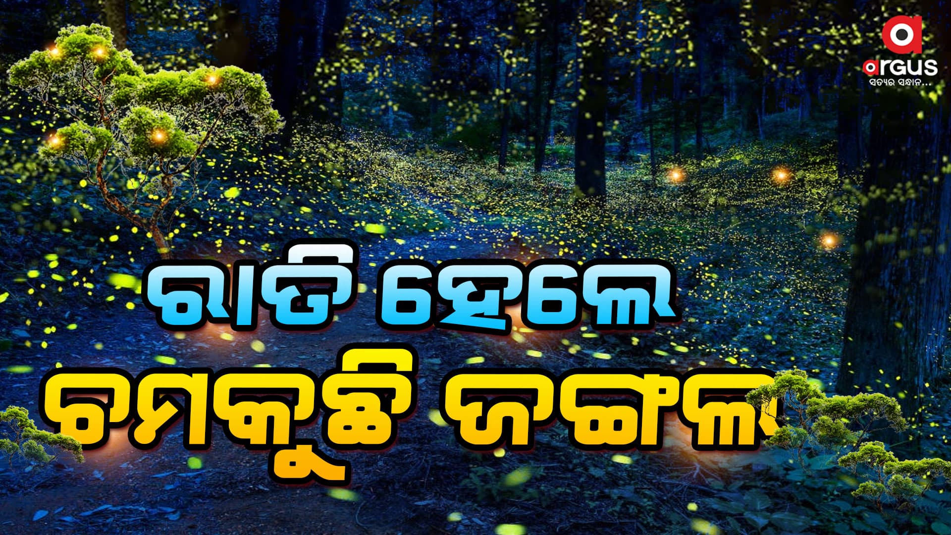 ଜଙ୍ଗଲ ଜାଳୁଛି ପ୍ରେତାତ୍ମା ନା ଆଉ କିଏ?