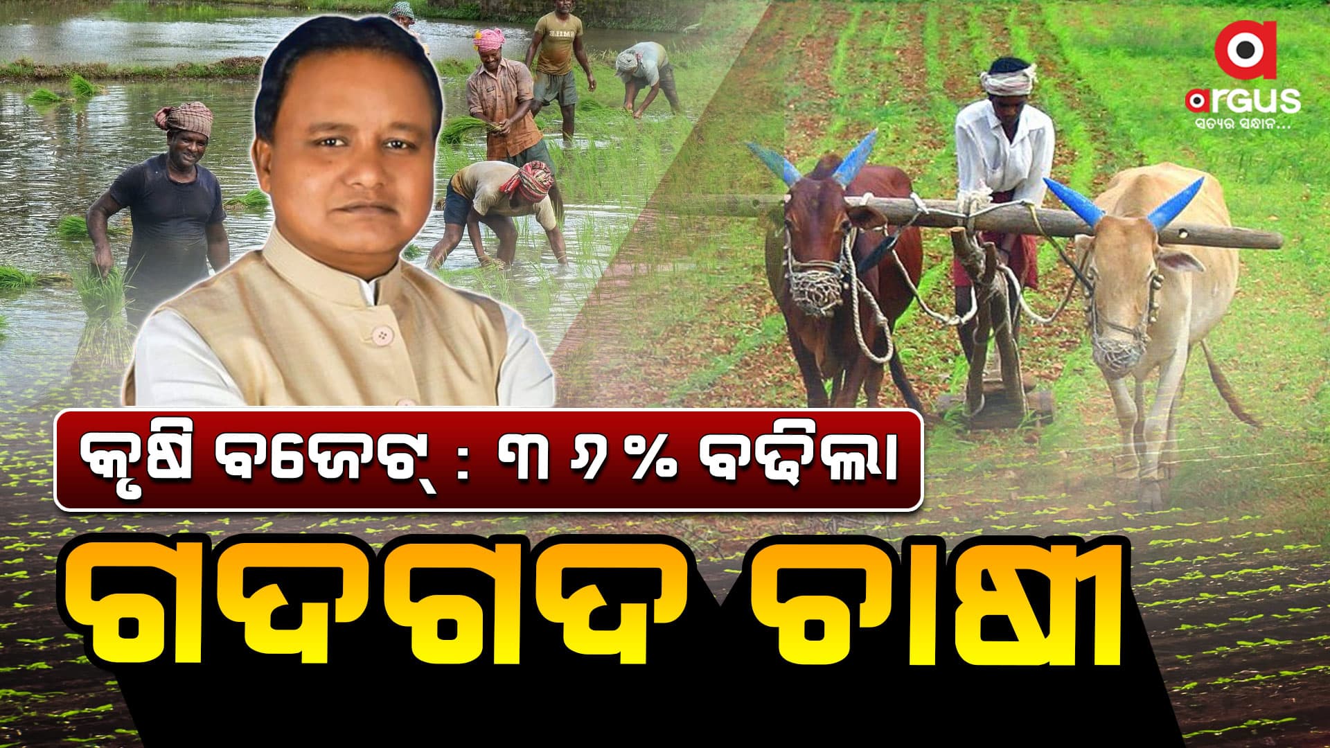 ପୂର୍ବବର୍ଷ ତୁଳନାରେ କୃଷି ବଜେଟ୍ ପରିମାଣ 36 ପ୍ରତିଶତ ବୃଦ୍ଧି