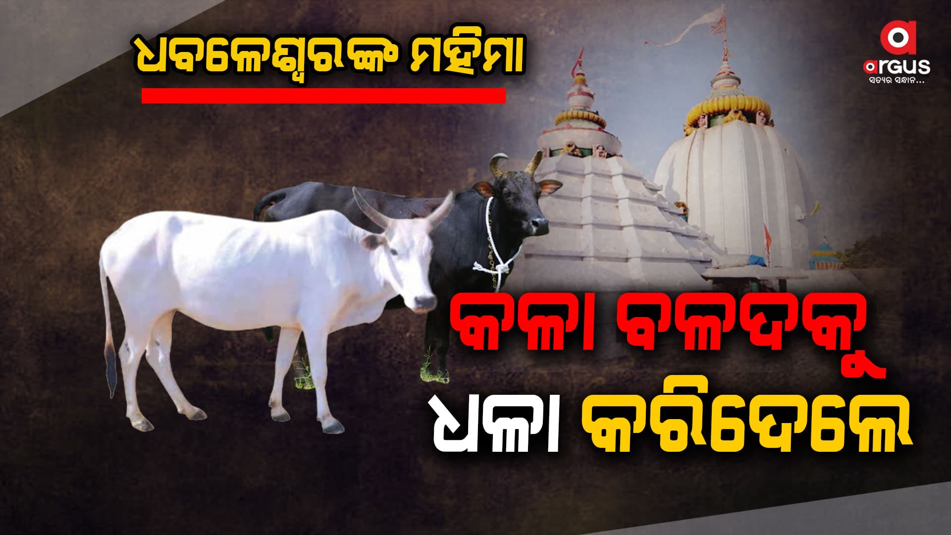 ଆଜି ହେଉଛି ପବିତ୍ର ବଡ଼ଓଷା, ଚଳଚଞ୍ଚଳ ଧବଳେଶ୍ୱର ପୀଠ