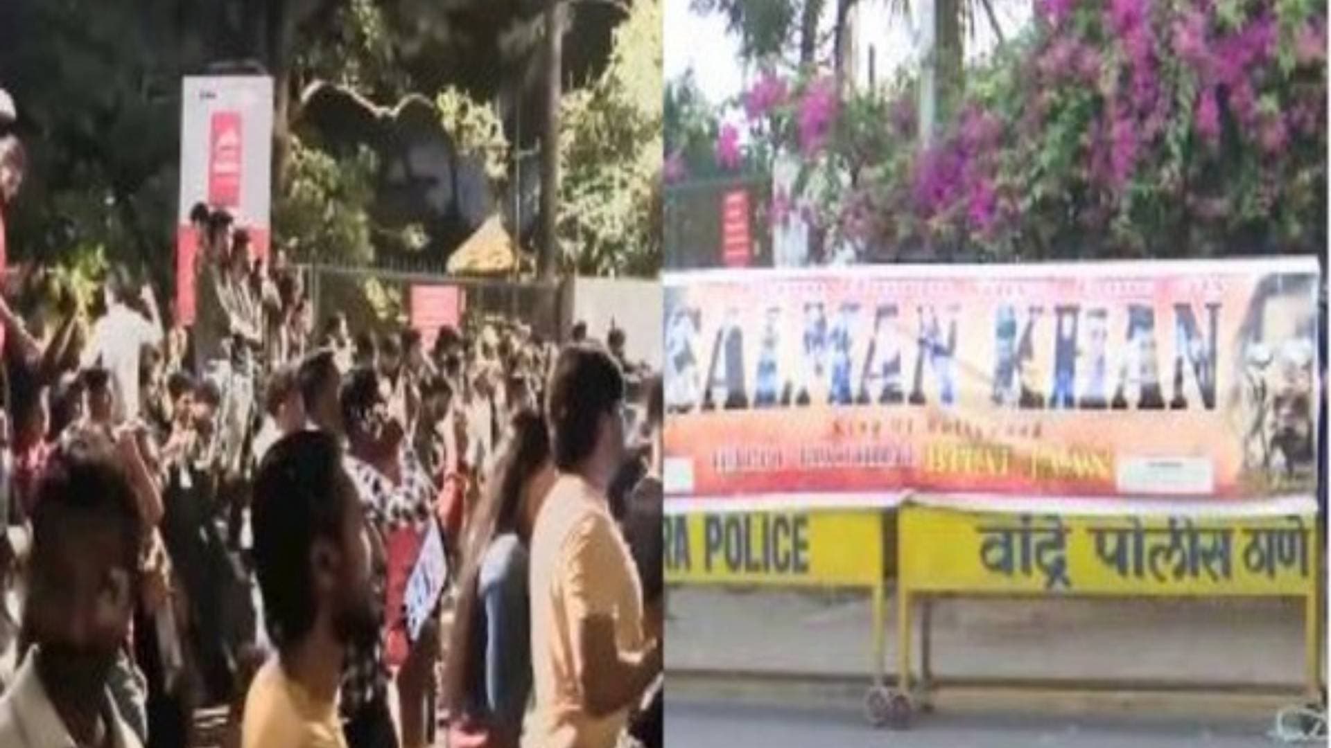 Salman Khan's Birthday: Fans Gather To Wish Tiger 3's Star Outside His Residence