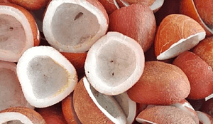Govt Hikes MSP For Copra