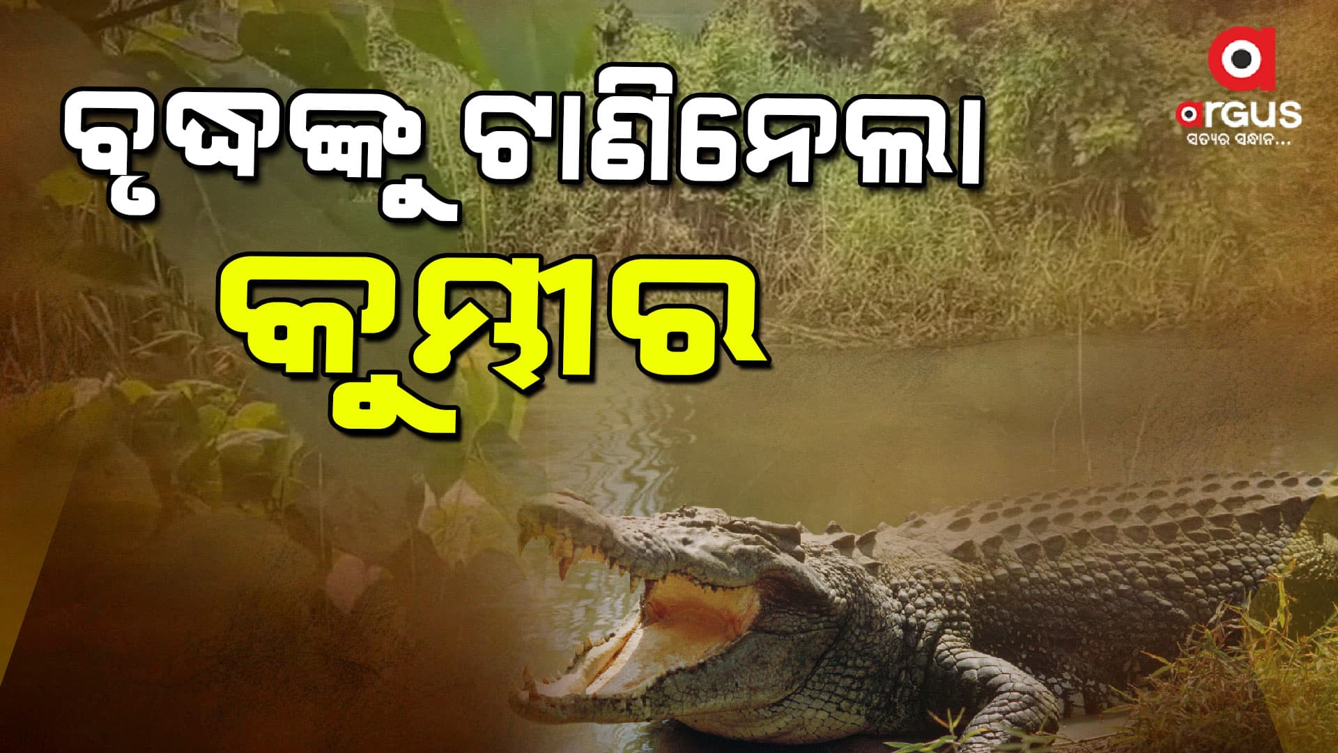 ପୁଣି କୁମ୍ଭୀର ଆତଙ୍କ: ଜଣେ ମୃତ